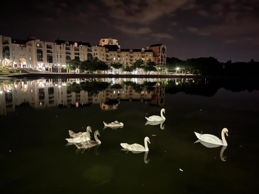 Vue Exceptionnelle Sur Le Lac Кретей Экстерьер фото