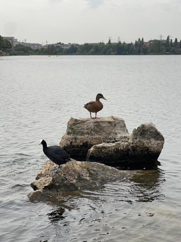 Vue Exceptionnelle Sur Le Lac Кретей Экстерьер фото